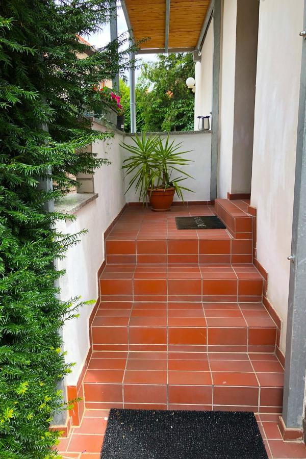 Ferienwohnung Alte Gaertnerei ثال المظهر الخارجي الصورة